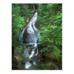 Moss Glen Falls Stowe Vermont Postcards