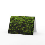 Moss! Greeting Card
