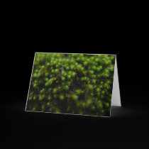 Moss! Greeting Card