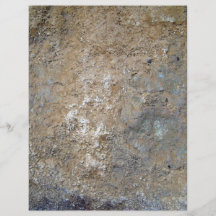 Moss Growing Over Mountain Wall Flyer