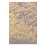 Moss Inspection stationery