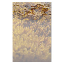 Moss Inspection Stationery Paper