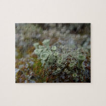 Moss Macro Photo Puzzle