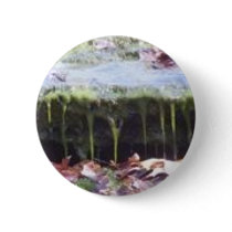 moss on a rock buttons