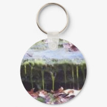moss on a rock keychains