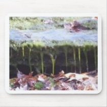moss on a rock mousepads