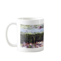 moss on a rock mugs