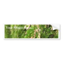 Moss On The Tree Bark bumper stickers by lifesphere Moss On The Tree Bark bumper stickers