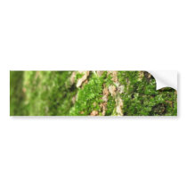 Moss On The Tree Bark bumper stickers by lifesphere Moss On The Tree Bark bumper stickers