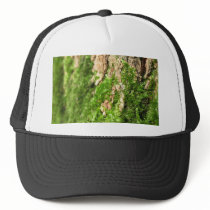 Moss On The Tree Bark hats by lifesphere Moss On The Tree Bark hats