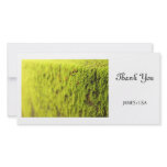 Moss Photo Greeting Card