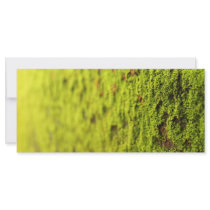 Moss Custom Rack Card