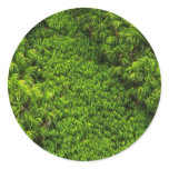 Moss Round Stickers