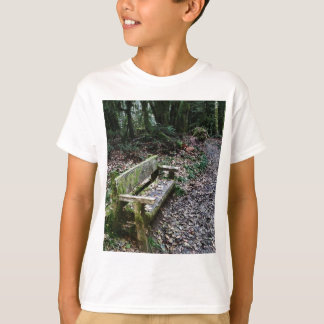 devils lake t shirt