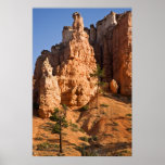 Mossy Cave Hoodoos Print