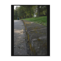 mossy curb postcards