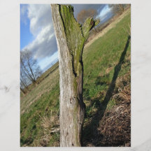 Mossy Dead Tree Trunk Personalized Flyer