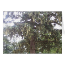 Mossy Evergreen Greeting Card