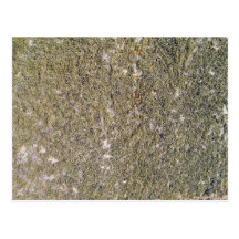Mossy ground background postcards