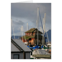 Mossy Habour cards by Barnabas7 Mossy Habour cards
