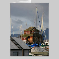 Mossy Habour cards