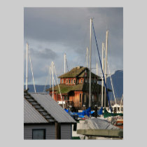 Mossy Habour posters