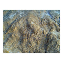 Mossy limestones texture postcard