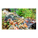 mossy log in forest of autumn leaves posters by dma847 mossy log in forest of autumn leaves posters