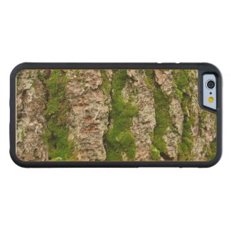 Mossy Pine Tree Bark Carved® Maple iPhone 6 Bumper Case
