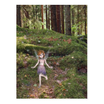Mossy Postcard