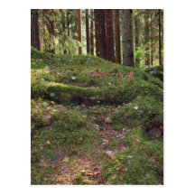 Mossy Postcard