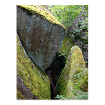 Mossy rock post card