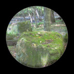 Mossy Rocks on Bank magnets