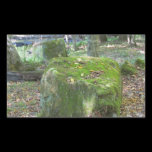 Mossy Rocks on Bank stickers