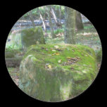 Mossy Rocks on Bank stickers