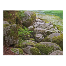 mossy rocks postcard