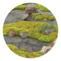 Mossy Rocks stickers