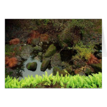Mossy Rocks, Yosemite Greeting Card