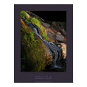 Mossy Stream posters