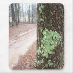 Mossy tree landscape mousepad