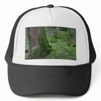 Mossy Trees Forests Woods hats