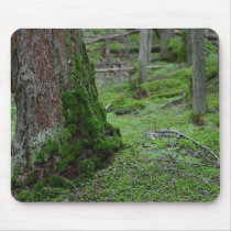 Mossy Trees Forests Woods mousepads