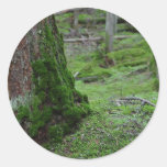 Mossy Trees Forests Woods Round Sticker