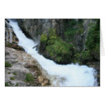 Mossy Waterfall Cards