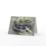 Mossy Waterfall; Happy Birthday Greeting Card