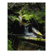 Mossy Waterfall Photograph