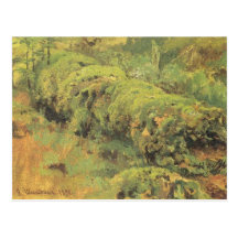 Mossy Wood by Ivan Shishkin Post Cards