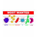 Most Wanted t-shirts