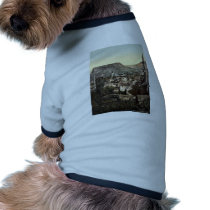 Mostar, Muhlen Bridge, Herzegowina, Austro-Hungary Pet Clothing