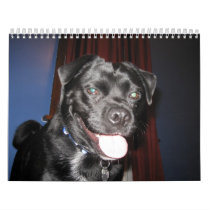 Mostly Bo Calendar